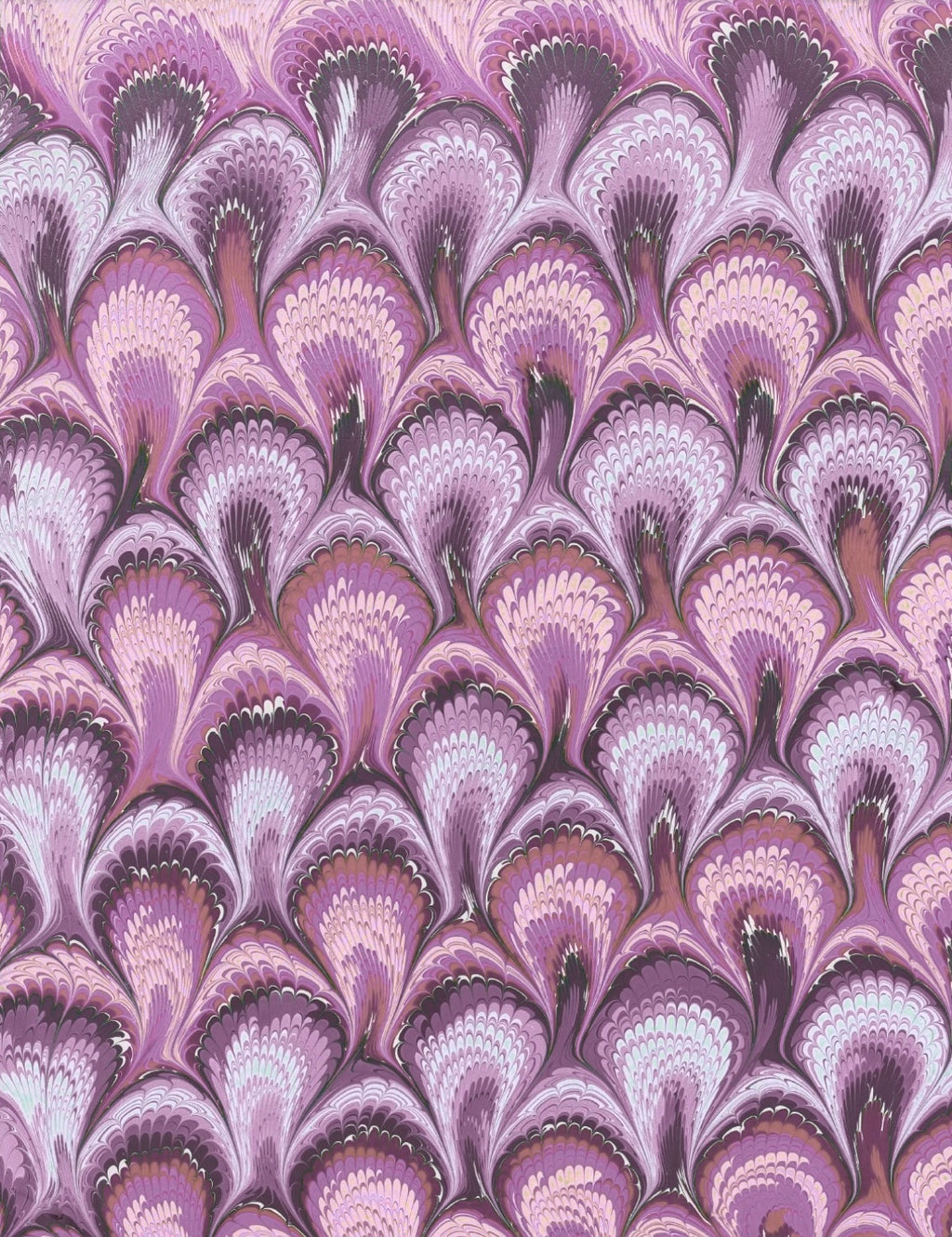 Encore in Lavender Daze