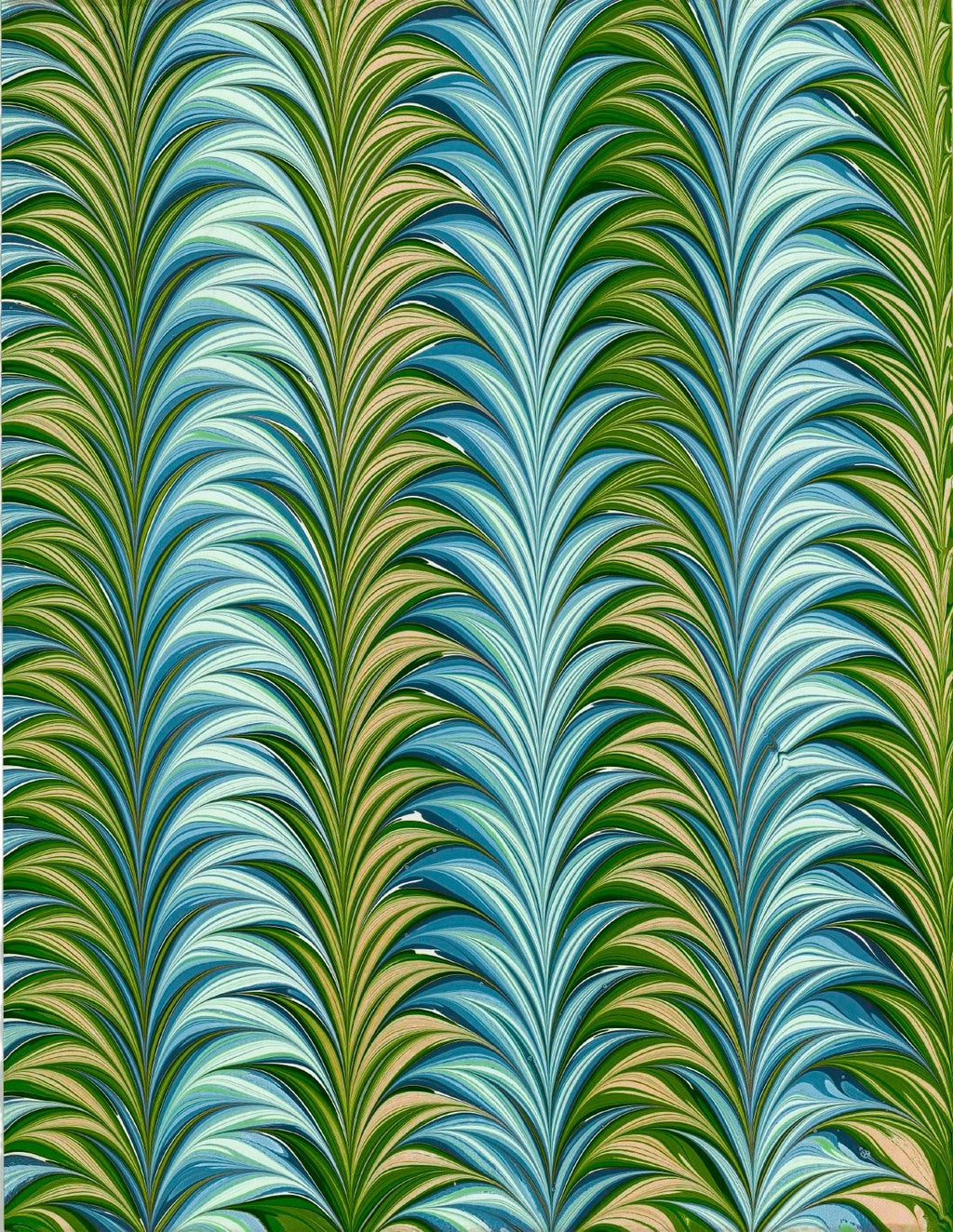 Palm Frond in Reflection