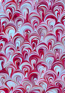 Peacock in Raspberry