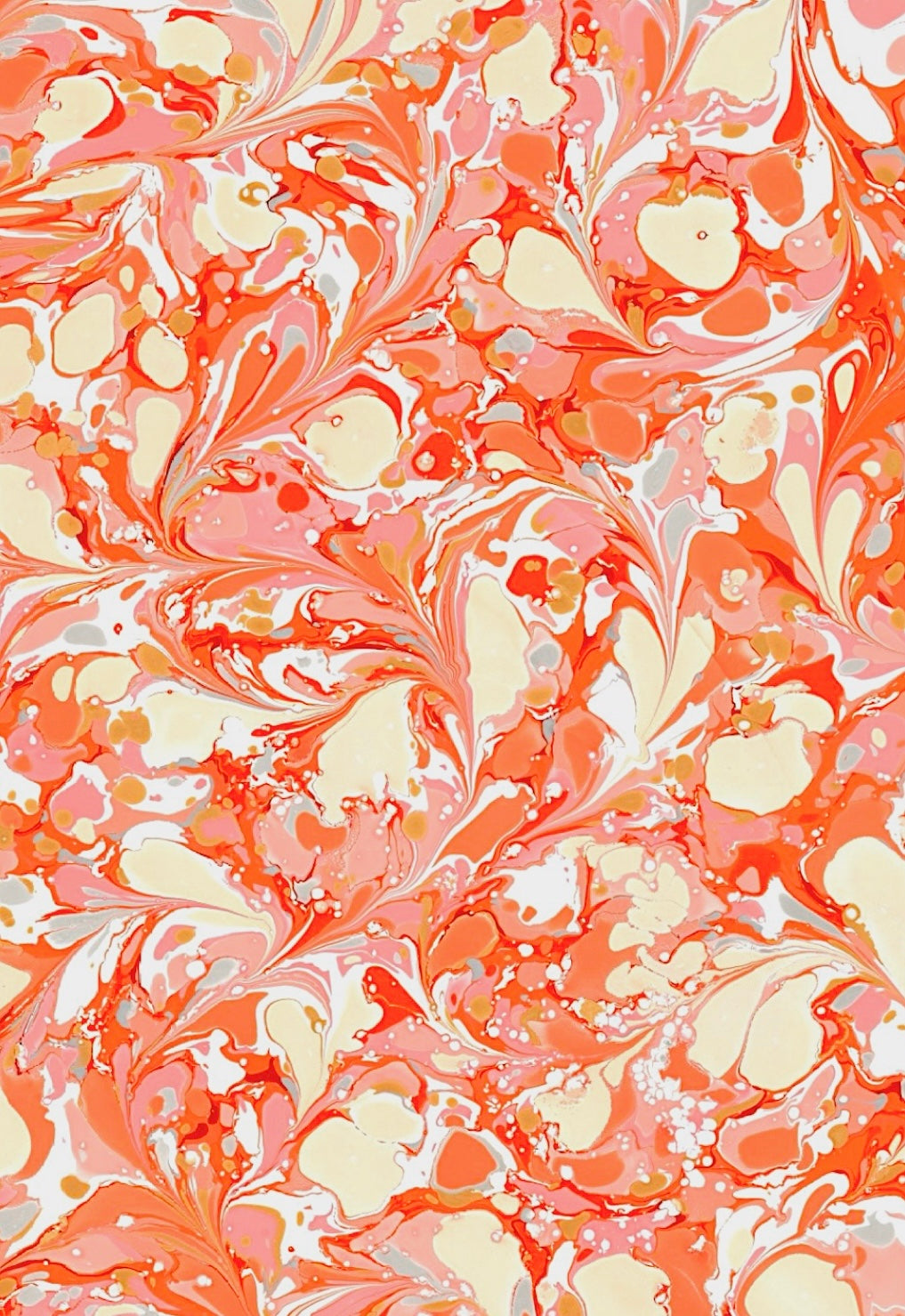 Gladiolus Lense in Half Swirl
