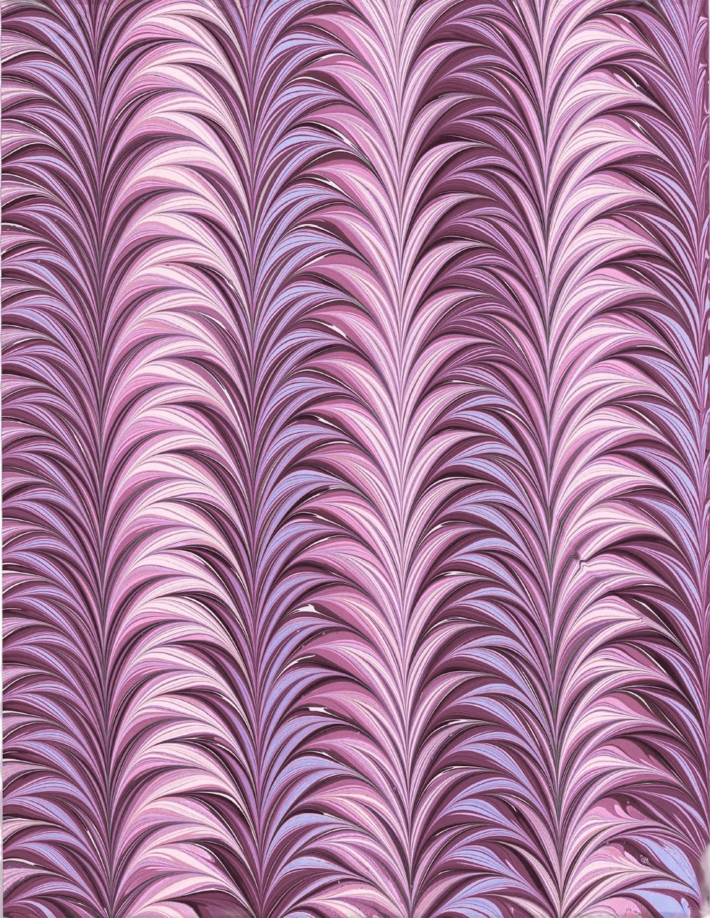 Palm frond in Violetta