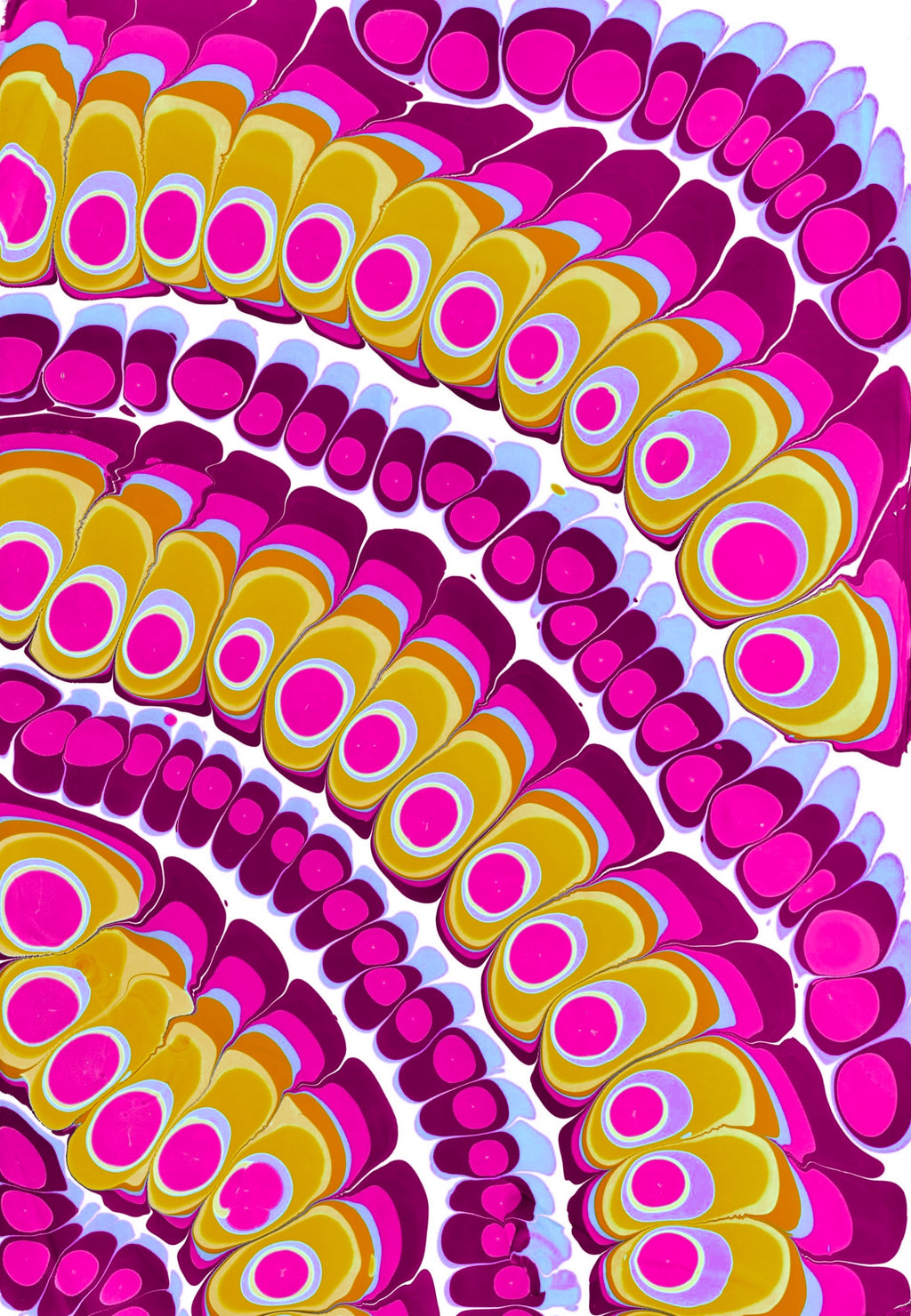 Sundance in Magenta