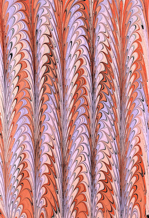 Pheasant in Orange