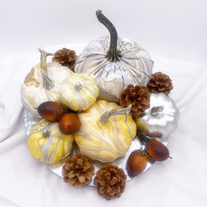 Champagne Toast Pumpkin Bundle